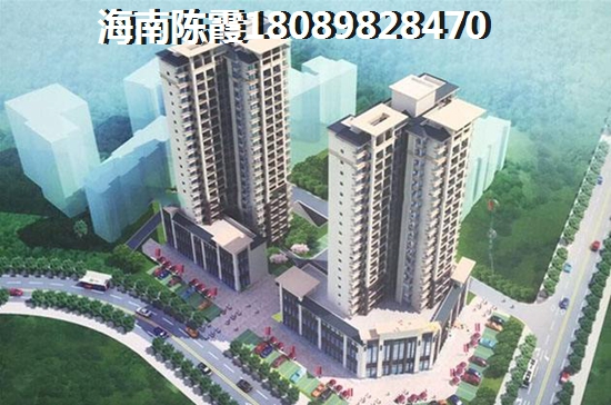 望海金豪的发展前景如何