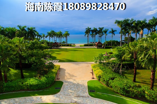 海南房子还能生纸吗？
