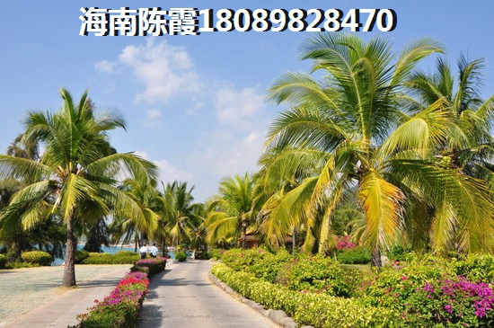晶莹花园能生纸吗？