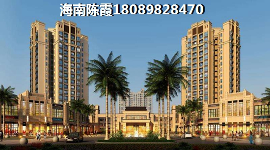 海口市现在的房子买了可以生纸吗？