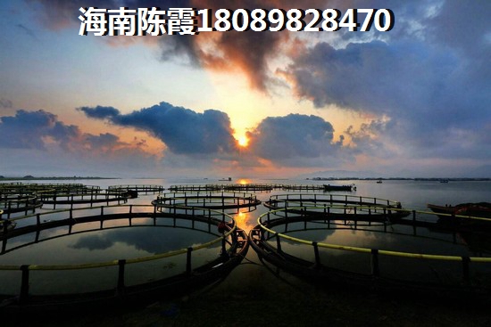 海南海口江海郡房价2023走势1 海南海口江海郡房价2023走势1