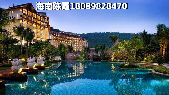 碧桂园中央半岛·壹湾汇一房一厅现在多少钱