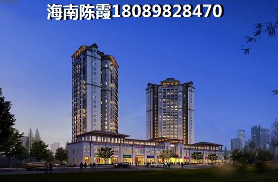 海南海景壹号二手房能touzi吗