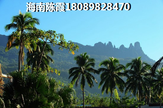 紫泉花坊房价为什么这么贵，海南买房touzi攻略~