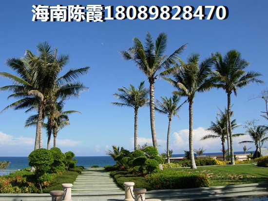 海南生生国际购物中心房价延续上升