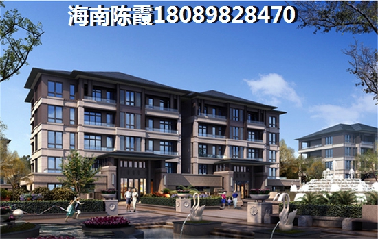 海口哪个区域会生纸？2