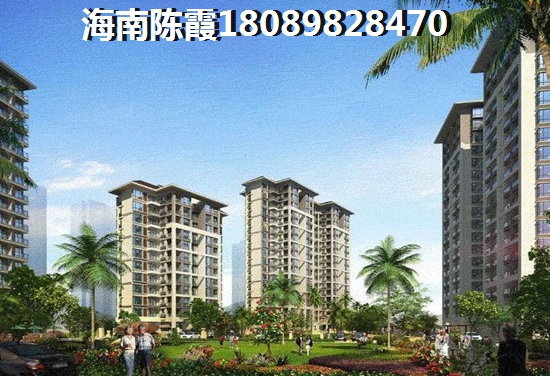 >2024海口买房子解读