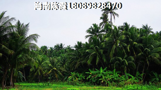 中弘·西岸首府好不好