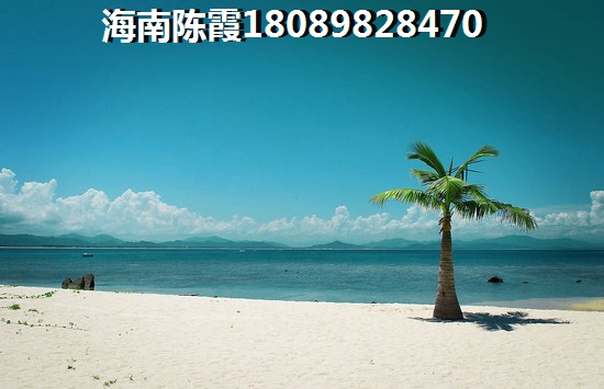 海口西海岸性价比高的房产