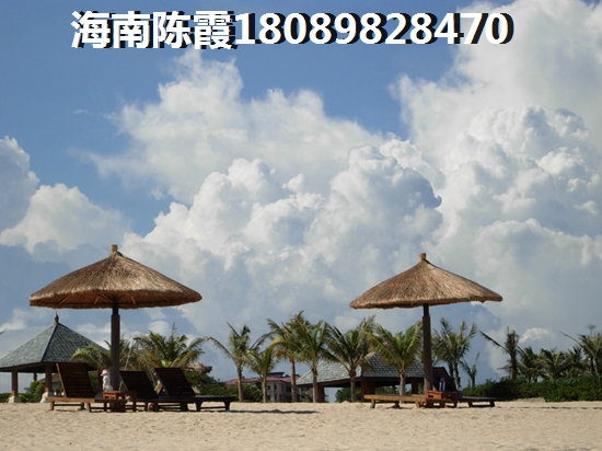 海口哪个地段会生纸？