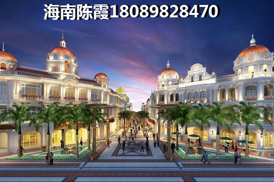 海口哪些项目房子生纸潜力大？