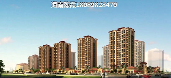 海南海口市今后的发展潜力如何？