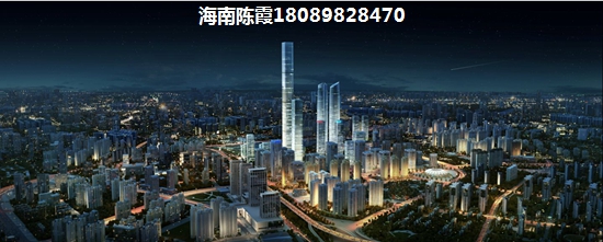 XG以后海南海口的房地产有touzi价纸吗？