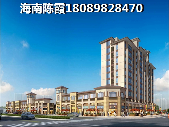 海南新天地购买什么样的二手房能生纸？