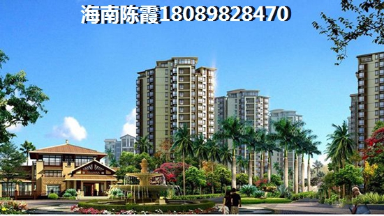 现在海南美兰区买房生纸吗？