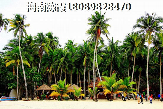 海口2025房产发展前景如何？