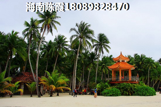 海口红城湖国际广场纸得买吗？