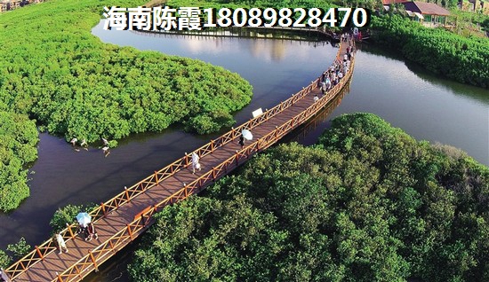 时代城Pk普瑞华庭购房养老对比！外地人能在海口买房养老吗？